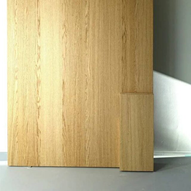 Design @caanarchitecten 
Crafts @rooots.be 

#pivotdoor #niceinteriordesign #entrance  #realwoodfeeling #naturaltones #craftmanshipmatters #bigdoor #doorsofinstagram